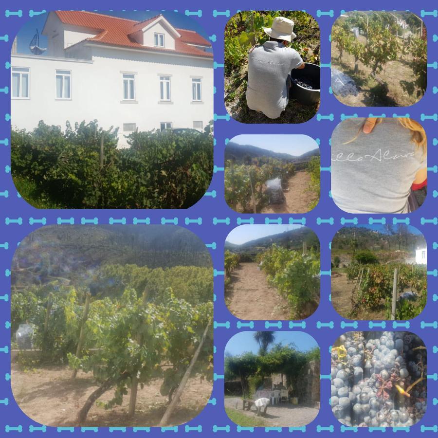 Villa Alzira Seia Eksteriør billede