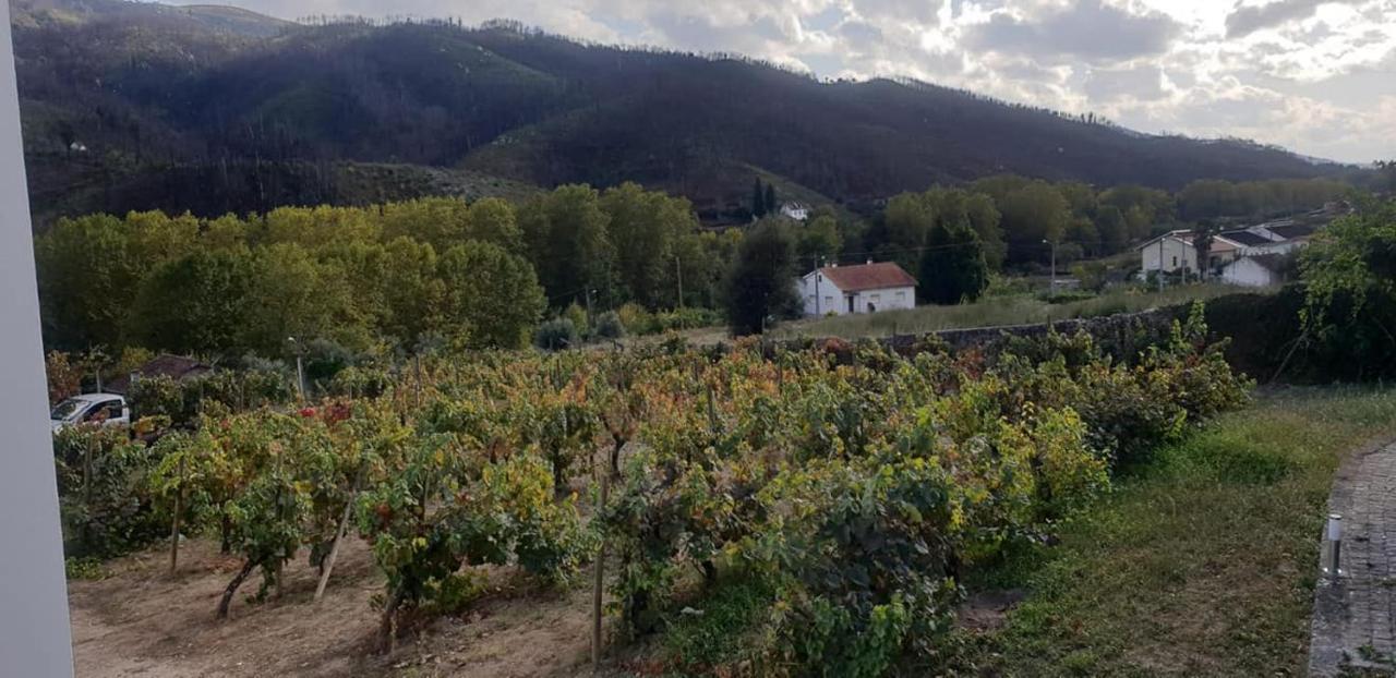 Villa Alzira Seia Eksteriør billede